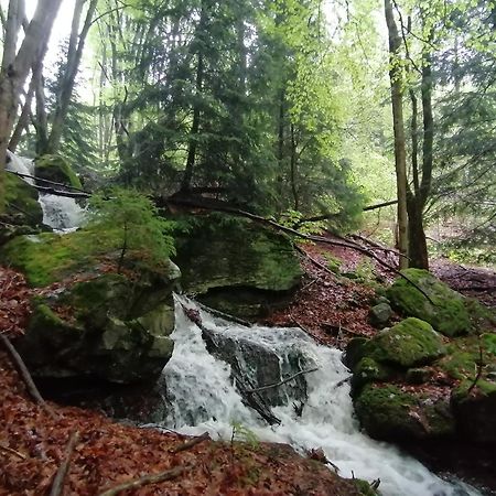 La Fortance Paradis Naturel - Proche De La Ville Planfoy Bagian luar foto