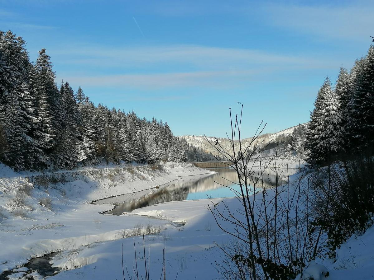 La Fortance Paradis Naturel - Proche De La Ville Planfoy Bagian luar foto