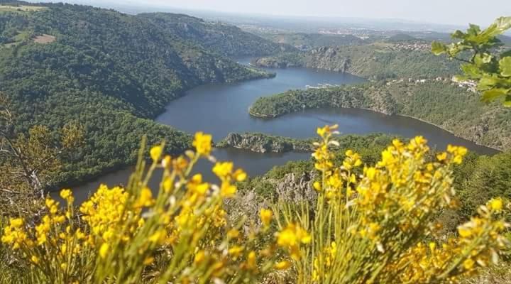 La Fortance Paradis Naturel - Proche De La Ville Planfoy Bagian luar foto