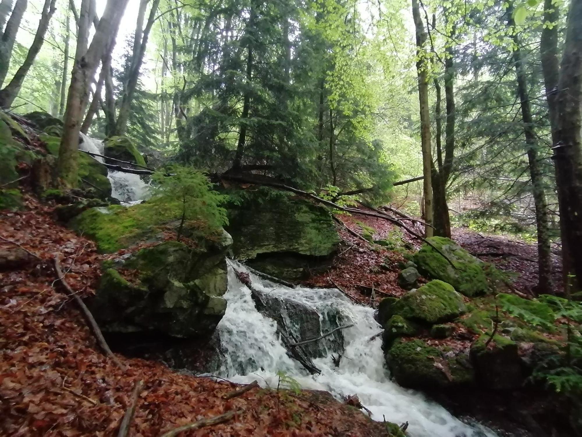La Fortance Paradis Naturel - Proche De La Ville Planfoy Bagian luar foto