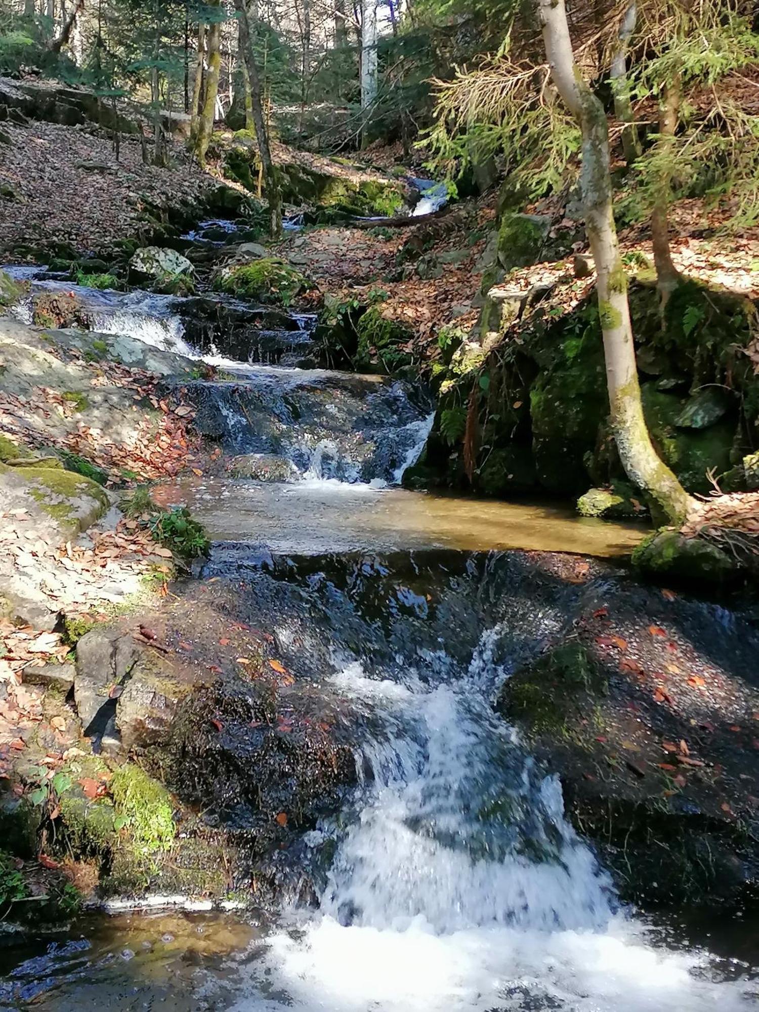 La Fortance Paradis Naturel - Proche De La Ville Planfoy Bagian luar foto