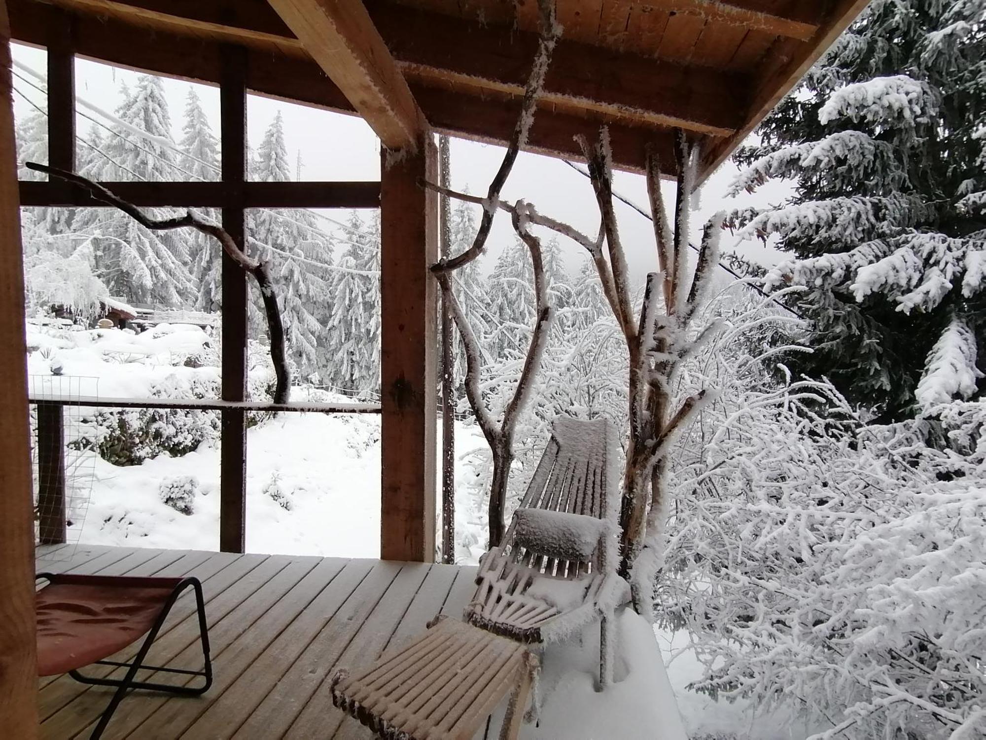La Fortance Paradis Naturel - Proche De La Ville Planfoy Bagian luar foto