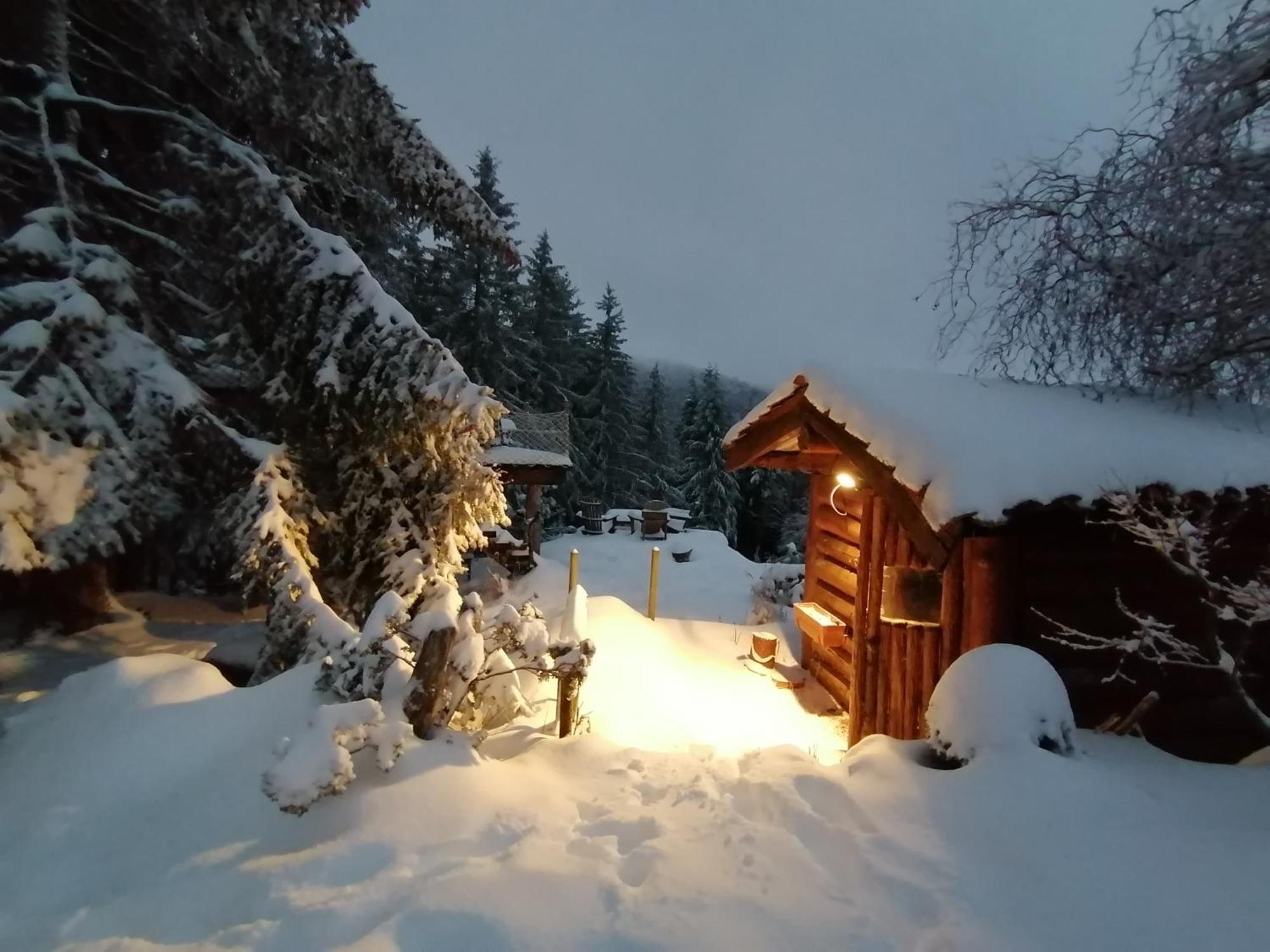 La Fortance Paradis Naturel - Proche De La Ville Planfoy Bagian luar foto