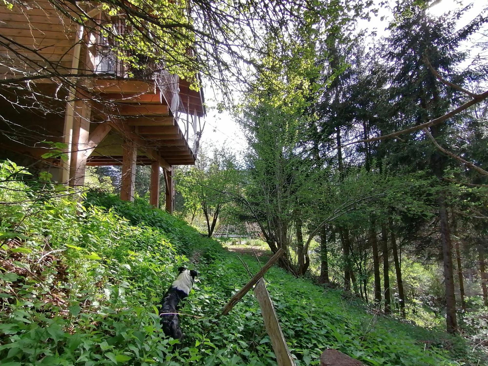 La Fortance Paradis Naturel - Proche De La Ville Planfoy Ruang foto
