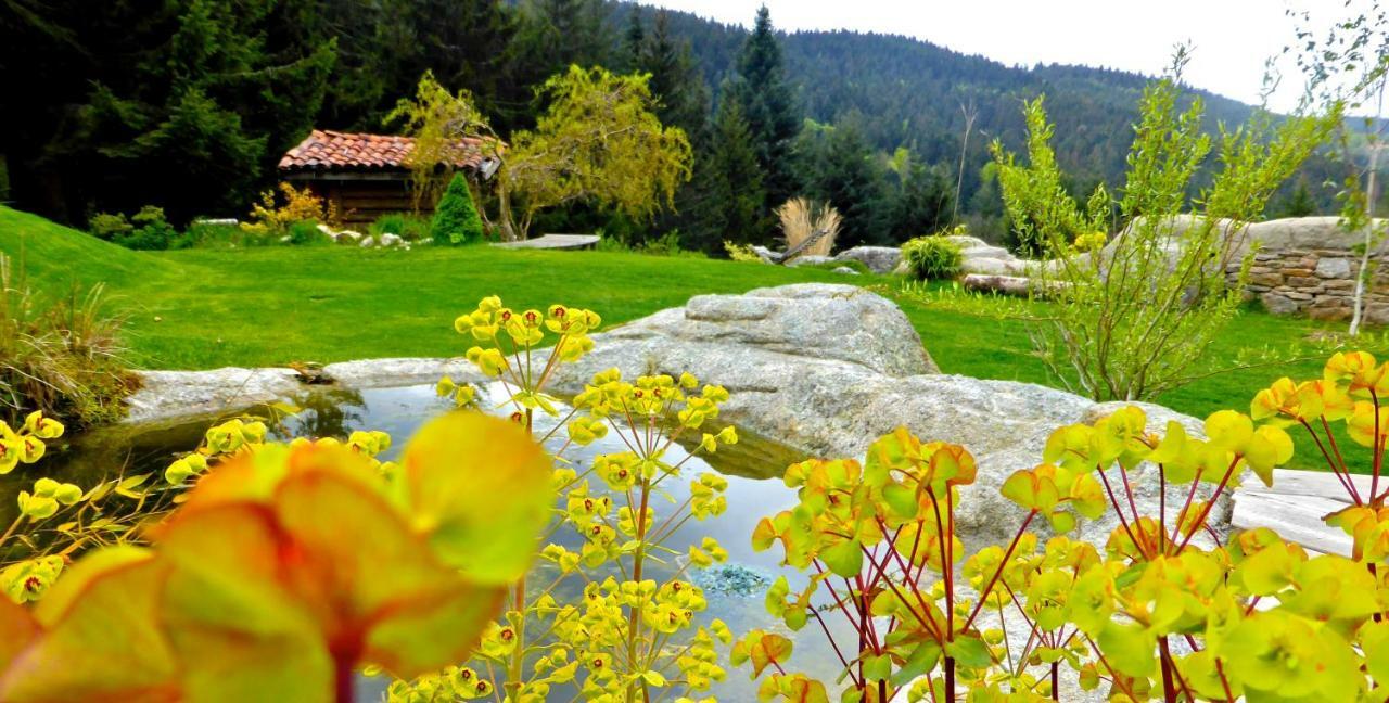 La Fortance Paradis Naturel - Proche De La Ville Planfoy Bagian luar foto