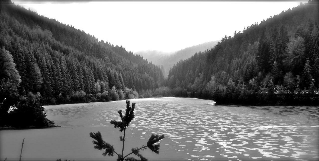 La Fortance Paradis Naturel - Proche De La Ville Planfoy Bagian luar foto