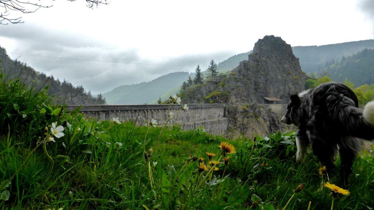 La Fortance Paradis Naturel - Proche De La Ville Planfoy Bagian luar foto